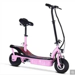 2 Wheels Foldable Electric Bike