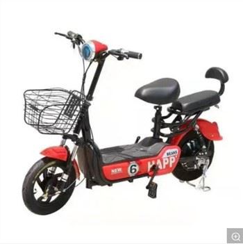 Electric Bike with Powerful Motor