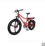 Li-ion Mountain Electric Bicycle