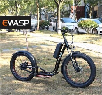 Best Seller Retro Super Power Adult Electric Bicycle Mountain Fat Tire Big Type Electric Bike