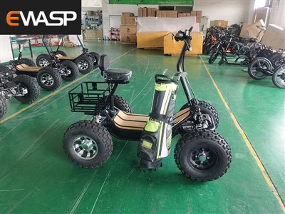 Stealth Bomber Electric Bike All Terrain Grass Tires Hydraulic Disk Brakes Off Road Electric Scooter